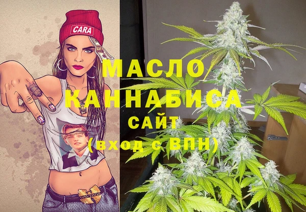 гашик Аркадак