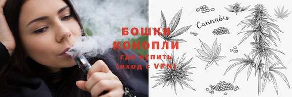 spice Арсеньев